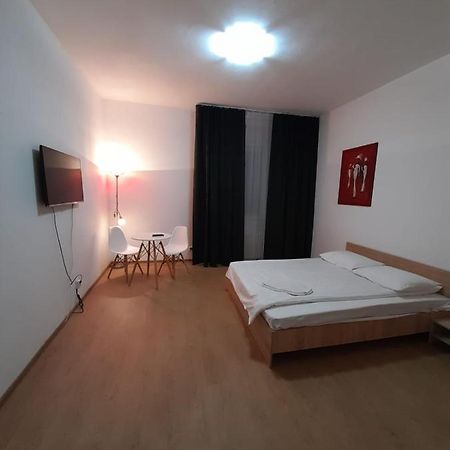 Piata Unirii- 1 Room Studio Apartment Timisoara Luaran gambar