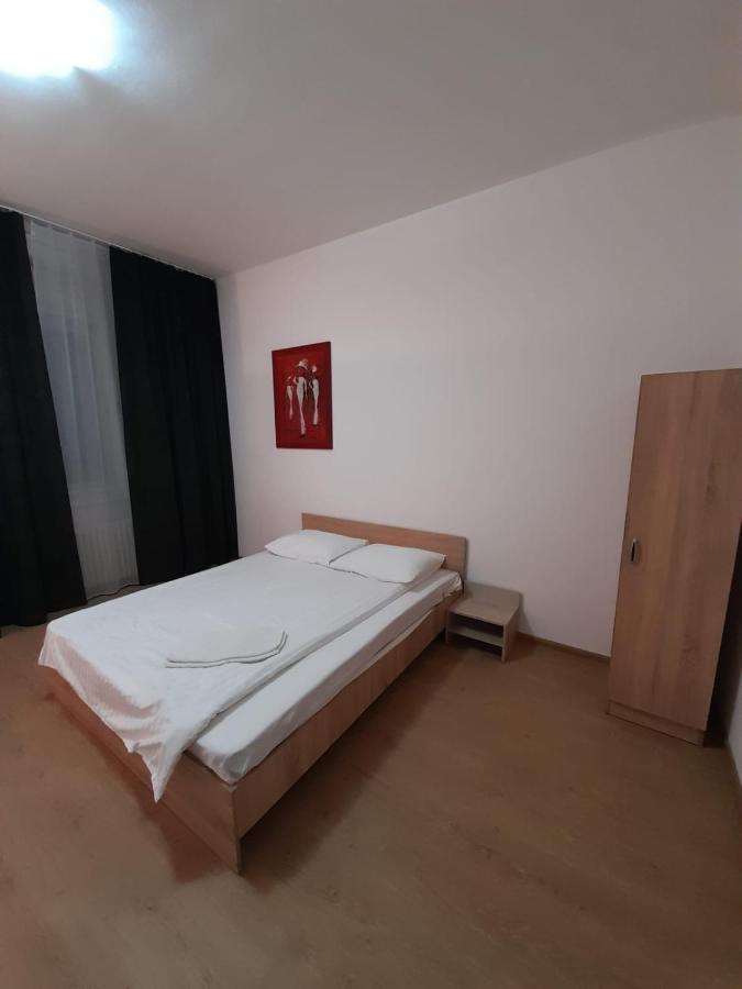Piata Unirii- 1 Room Studio Apartment Timisoara Luaran gambar