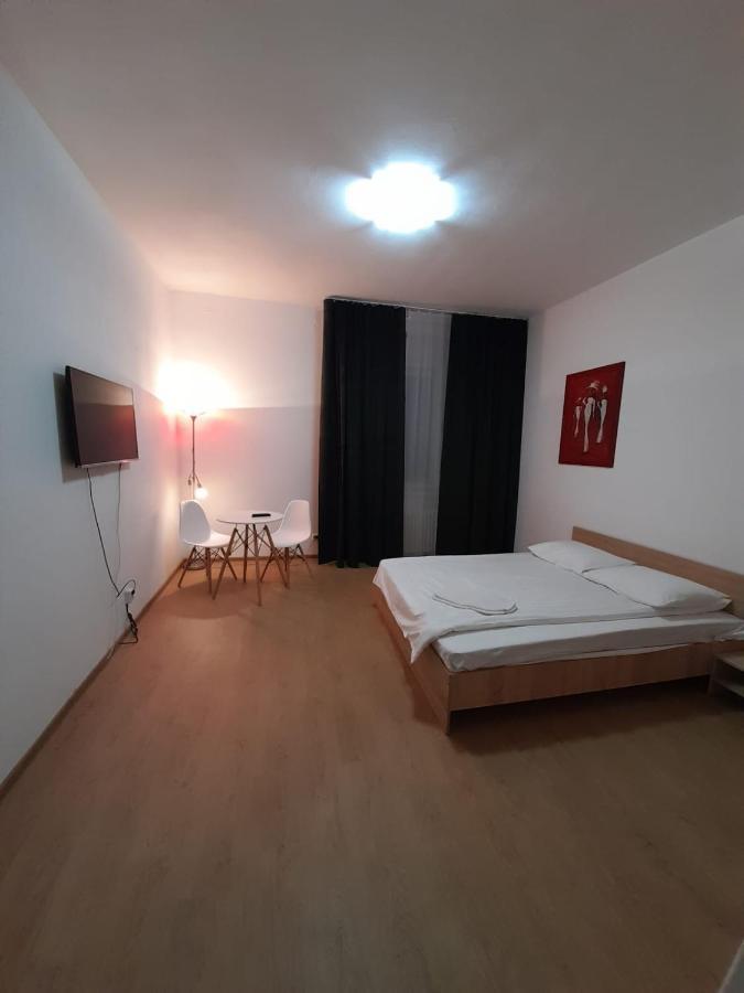 Piata Unirii- 1 Room Studio Apartment Timisoara Luaran gambar